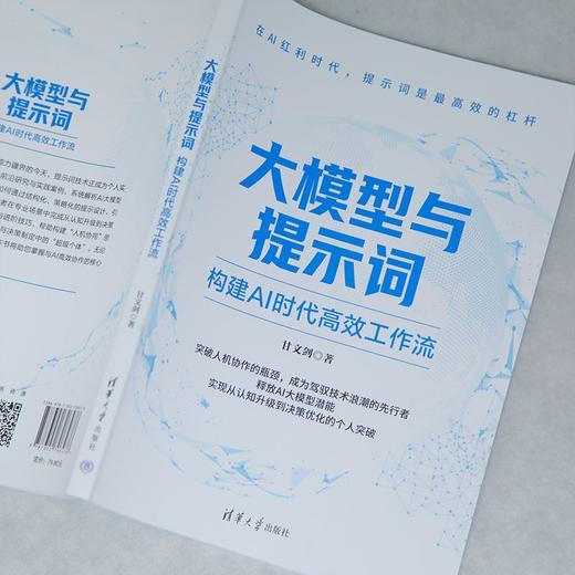 大模型与提示词:构建AI时代高效工作流 商品图2
