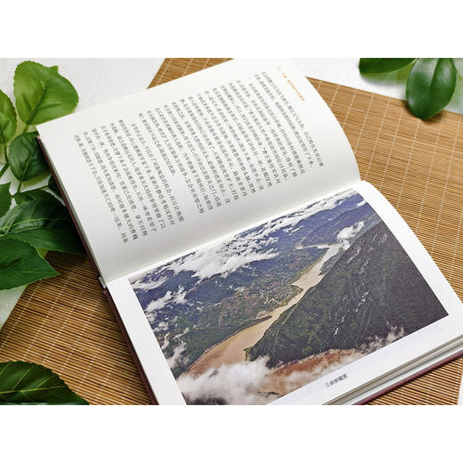 刘备:遍尝挫折的觉醒者 商品图3