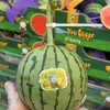 悠果儿小糖丸西瓜 商品缩略图3