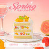 【春日果篮】  芭乐青提芒果蛋糕| FALANC CAKE 商品缩略图2