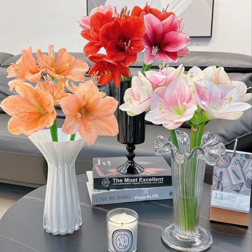 【斌哥优选】玫瑰鲜花盲盒/立陶宛百合/朱顶红。做个浪漫的人，从给自己买一束花开始。让家中充满生命力。需要收到醒花哦，注意看每种花的售后规则，感恩。 商品图2