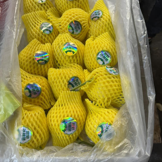 🐝小蜜蜂 甜瓜 香甜 推荐/19.9/斤 商品图4