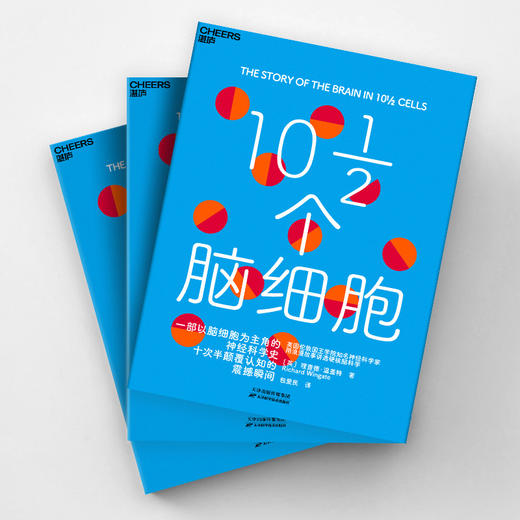 10½个脑细胞  从一滴染色剂到人工智能，用浪漫故事讲透硬核脑科学 商品图3