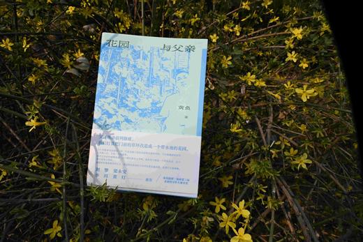 花园与父亲  黄鱼/著 {北贝} 商品图7
