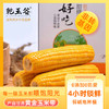 【优质粗粮】乾玉谷非转基因玉米礼盒装JL 商品缩略图0