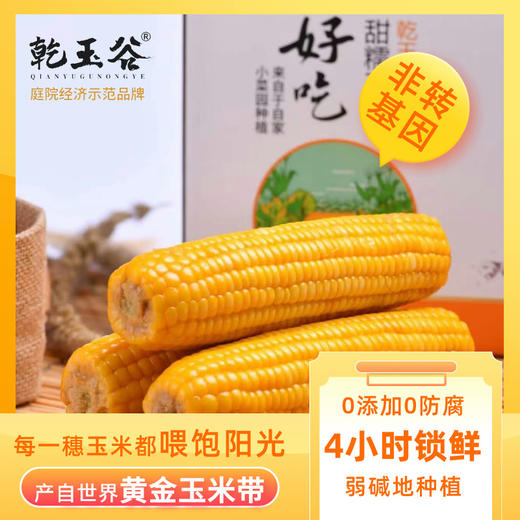 【优质粗粮】乾玉谷非转基因玉米礼盒装JL 商品图0