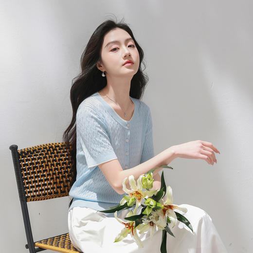 【莱赛尔】三彩2026夏季新款绞花针织衫圆领毛衫短袖开衫M 商品图3