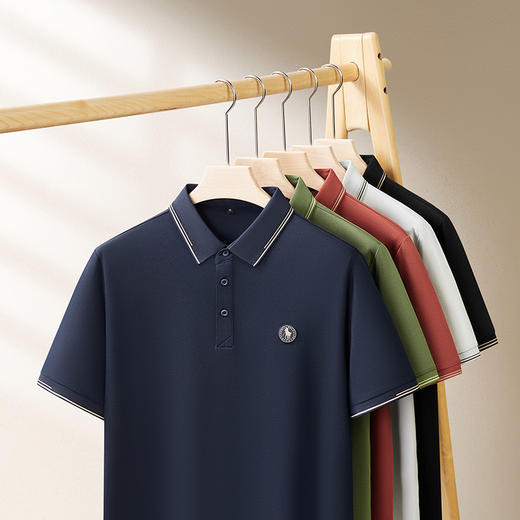 【DDS】大依优型大码男装夏季桑蚕丝亚麻混纺短袖POLO衫商务休闲百搭T恤 商品图4