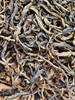 【原产地寻茶】版纳之巅 高海拔 滑竹梁子 兰香韵古树生茶200克 1500克/花蜜韵野生红茶100克 500克 商品缩略图5