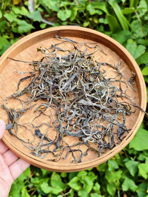 【原产地寻茶】版纳之巅 高海拔 滑竹梁子 兰香韵古树生茶200克 1500克/花蜜韵野生红茶100克 500克 商品图2