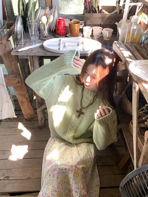 <曾小咸推荐>4.2现货秒杀 ！微信超特价！韩系麻花针织衫 日常219.99 立减120 秒杀89.99！！ 商品图9