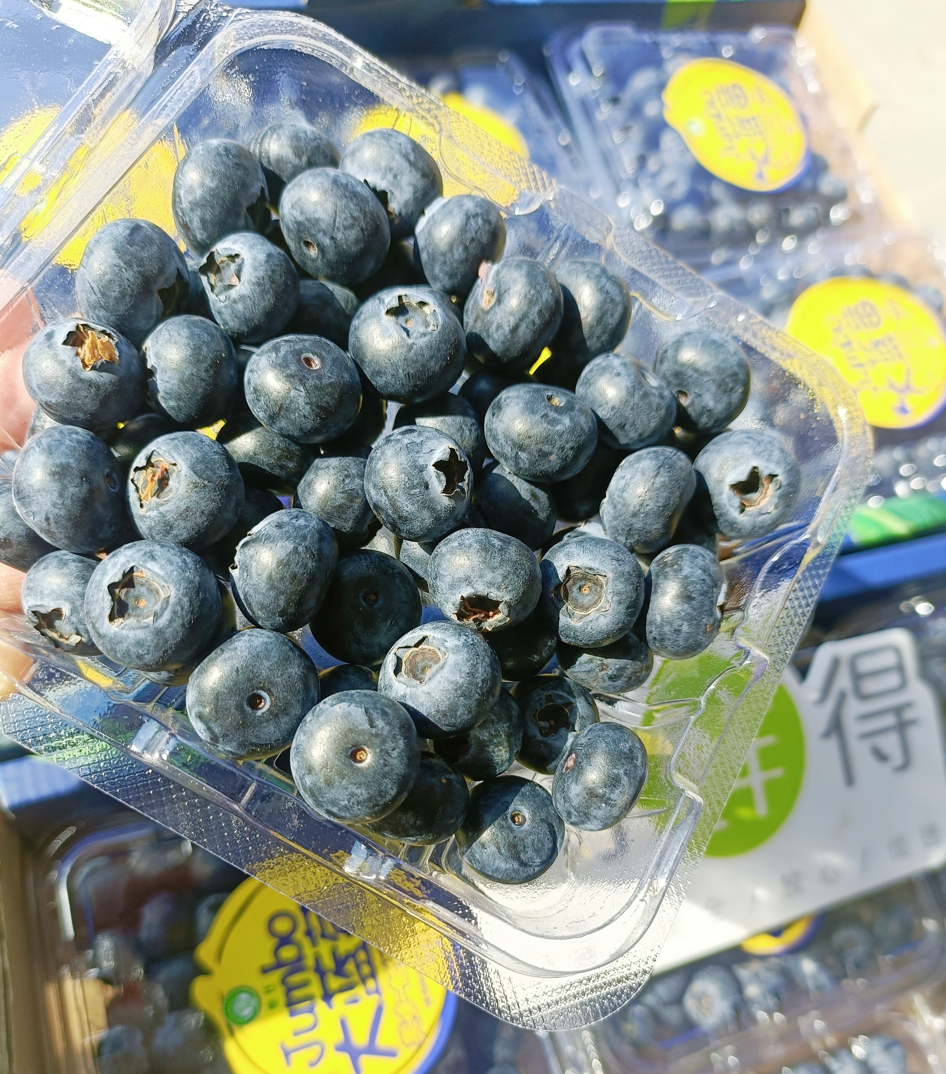 云南蓝莓15+  蓝莓味浓郁 脆甜口感好 125克/盒