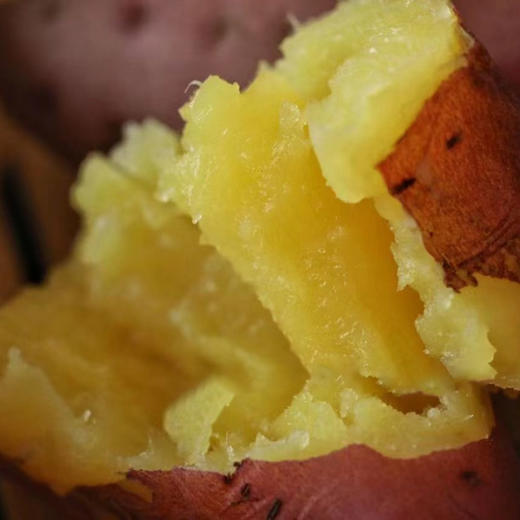 【自营】海南沙地桥头地瓜5斤/8斤 规格可选 商品图1