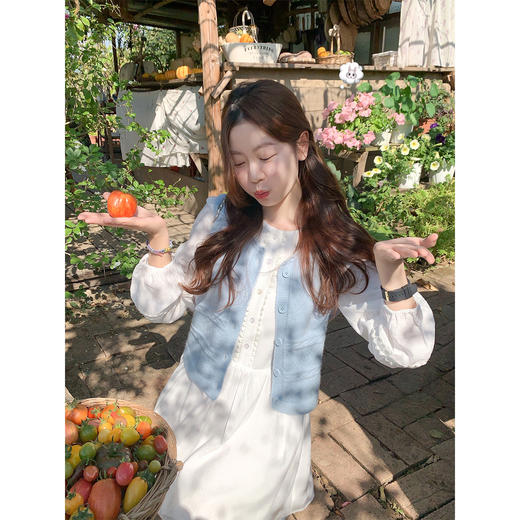 <曾小咸推荐>4.5现货秒杀 ！微信超特价！花边连衣裙 日常209.99 立减100 秒杀109.99！！纯色马甲  秒杀59.99！！ 商品图1