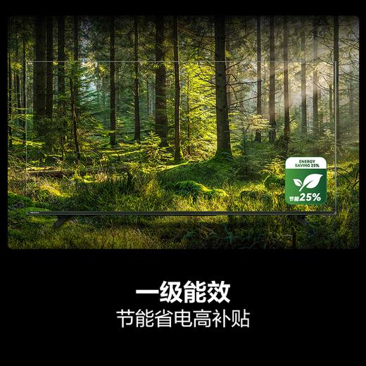 海信电视D30QD 50英寸 高清画质 低蓝光无屏闪 一级能效 节能省电 2*12W大功率音响 50D30QD 商品图3