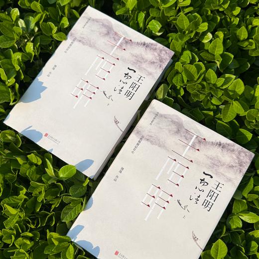 【限量100套】《王阳明：一切心法》精装全2册 商品图1