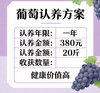 【东滩绿港】果树认养一株（1年） 商品缩略图3