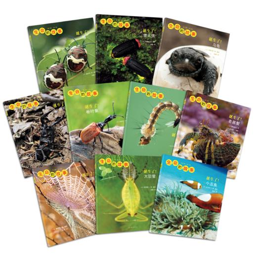 生命的故事1-5辑大全辑 商品图4