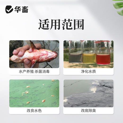 【积分兑换】华畜水产二氧化氯泡腾片10kg 杀菌消毒改底净水 高含量快速溶解 商品图2
