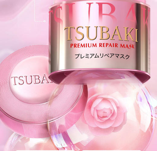 【跨境】丝蓓绮沁耀臻致滋润洗发露450ml+修护发膜粉180g(f非组套） 商品图5