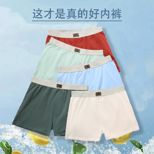 透梦-7A臻棉舒柔男士阿罗裤 商品图0