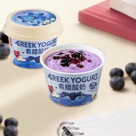 乐纯希腊酸奶蓝莓口味90g