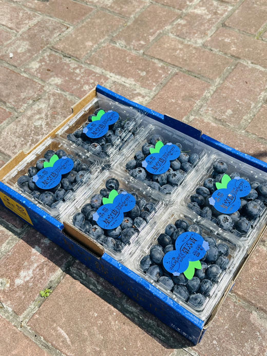 花香脆星空蓝莓  22+大蓝莓 商品图6