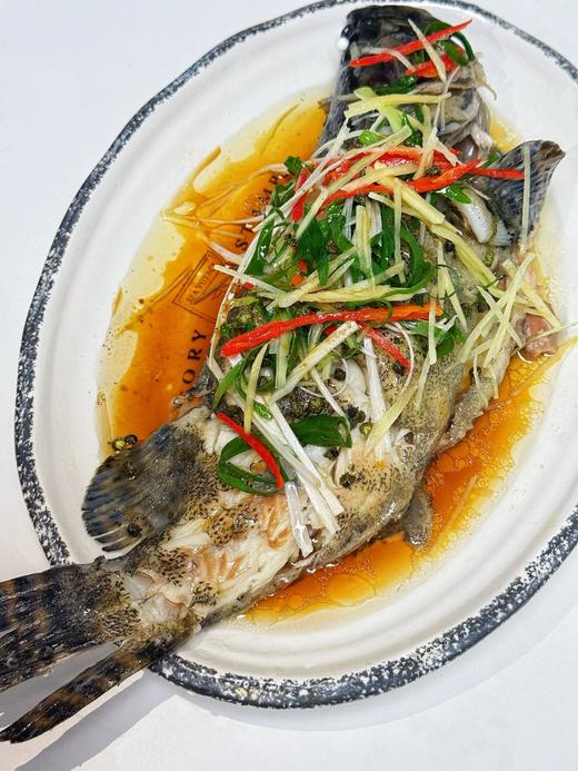 xm{精品！！精品海钓的深海货 少量少量...}满满的胶原蛋白，大龙胆石斑鱼刚上岸超新鲜，清蒸 干煎全家老小都抢着吃！顺丰冷链活冻送货上门 商品图5