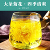菊花茶金丝皇菊黄菊一朵一杯大朵菊花茶叶大搭枸杞胎菊金银花贡菊 商品缩略图1