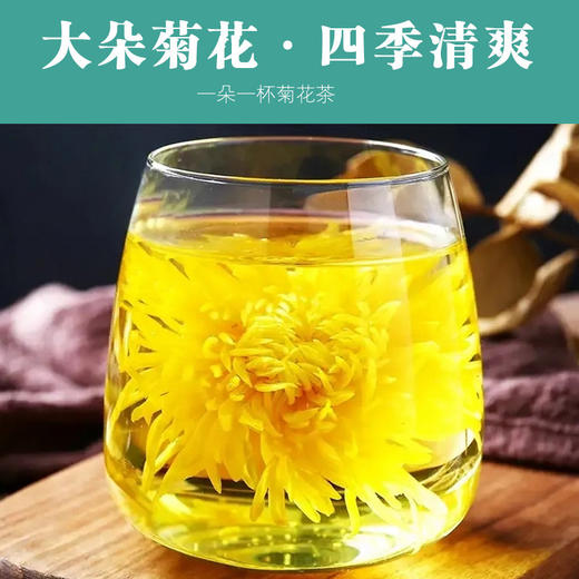 菊花茶金丝皇菊黄菊一朵一杯大朵菊花茶叶大搭枸杞胎菊金银花贡菊 商品图1