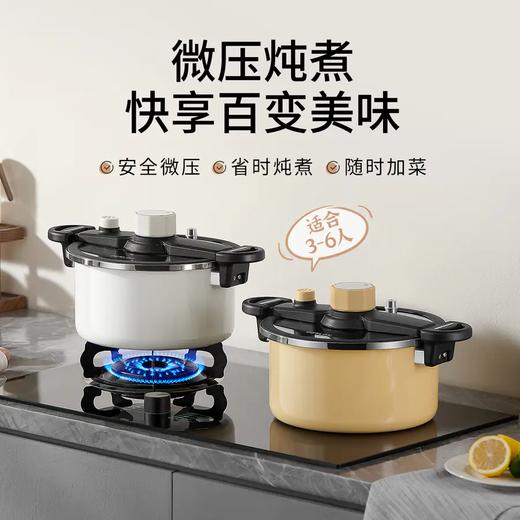 德国DESLON德世朗珐琅微压营养锅升级款  6L 精铁钛优质珐琅釉安全抗造 商品图0