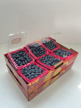 云南蓝莓15mm+，脆甜，带花香