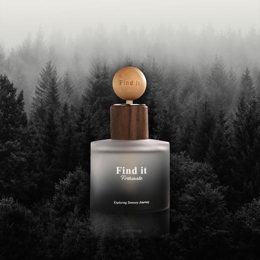 Find it小圆瓶车载/家用无火香薰 ，天然植物萃取香氛 持久散香 商品图5