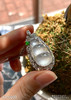 6310203，福豆吊坠。具体价格微信咨询 商品缩略图0