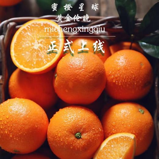 贝壳-蜜橙星球🍊黄金伦晚  晚熟精品，自然挂树成熟，汁水饱满，香甜化渣 商品图4