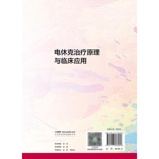 【预售】电休克治疗原理与临床应用 商品图2