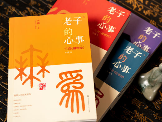 老子的心事：雪煮《道德经》（套装四册） | 文坛大佬雪漠耗时10年创作，口碑爆火，陪你对抗焦虑，修身成事，轻松读懂万经之首，收获旷达的人生智慧 商品图6