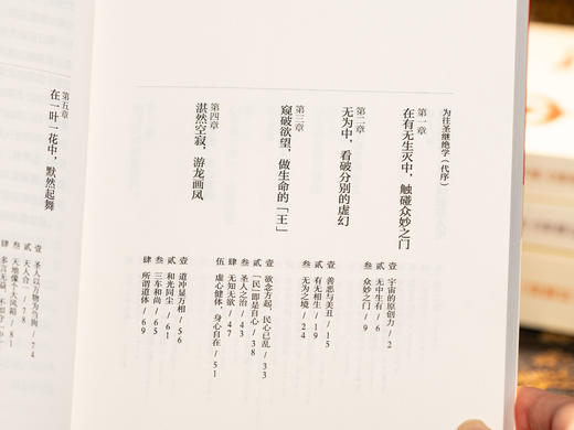 老子的心事：雪煮《道德经》（套装四册） | 文坛大佬雪漠耗时10年创作，口碑爆火，陪你对抗焦虑，修身成事，轻松读懂万经之首，收获旷达的人生智慧 商品图4