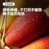 【树上自然熟 肉厚核小】海南贵妃芒 果肉细腻 甜美多汁 3-5天发货 商品缩略图1