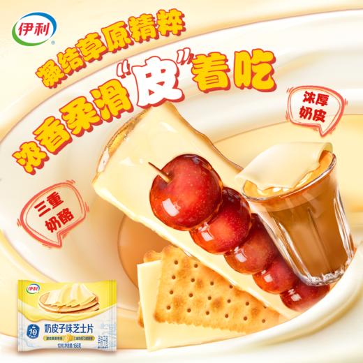 伊利 奶皮子味芝士片 166g/袋 商品图5
