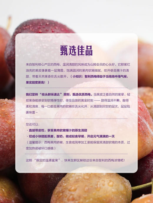 MM 山姆 智利西梅 1.2kg 商品图4