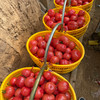 【自营】陕西普罗旺斯西红柿2斤/4-4.5斤 多规格可选 商品缩略图3