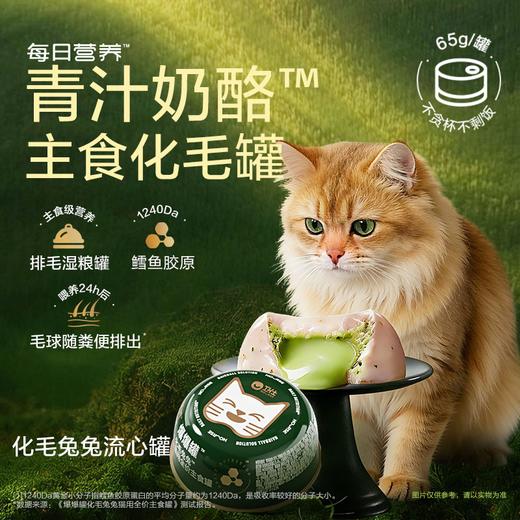 卫仕主食化毛罐爆爆罐猫草功能湿粮温和排毛猫罐头 商品图0