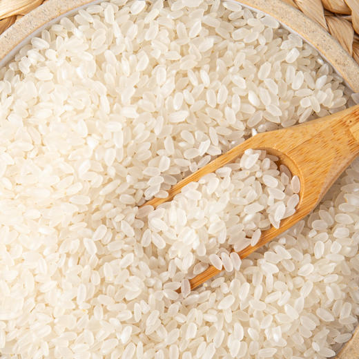 【八十八倉甄选】米妹妹元宝巨富米1kg 商品图1