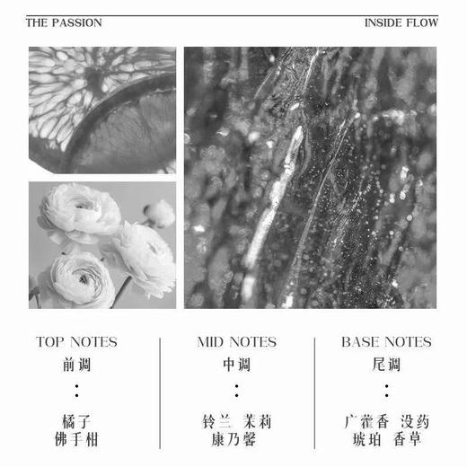 DDBSHIY念系列淡香水（炽念香型） 商品图1