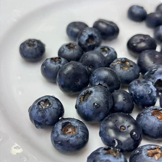 【自营】山东蓝莓125g/盒 京东/顺丰包邮 商品图1
