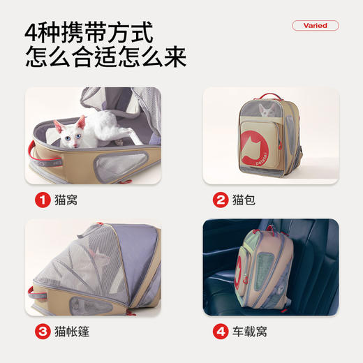 【Petstar 宠物双肩包】猫包透气外出包可拓展便携出行双肩手提包 商品图2