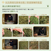 一叶知匠心：国韵·茶 商品缩略图4