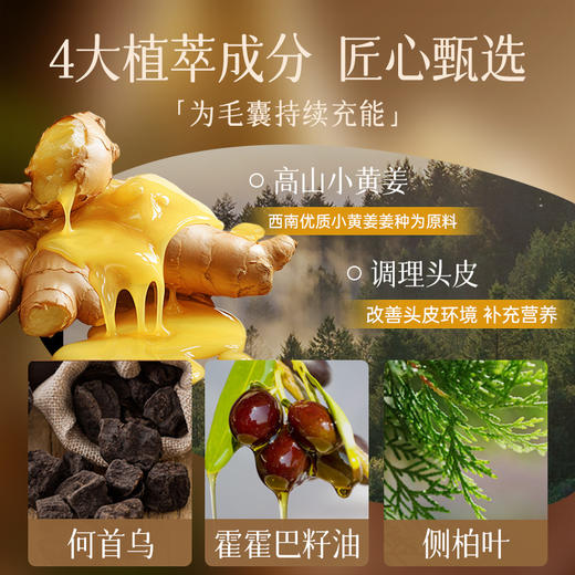 上新福利【2件59元】防脱育发洗发露353ml定制款 商品图4