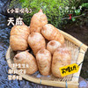 小草坝乌天麻（基地直发-京东包邮） | 3斤—5斤，来自云南昭通，生产者：杨德强【合作生产，公平贸易】 商品缩略图0